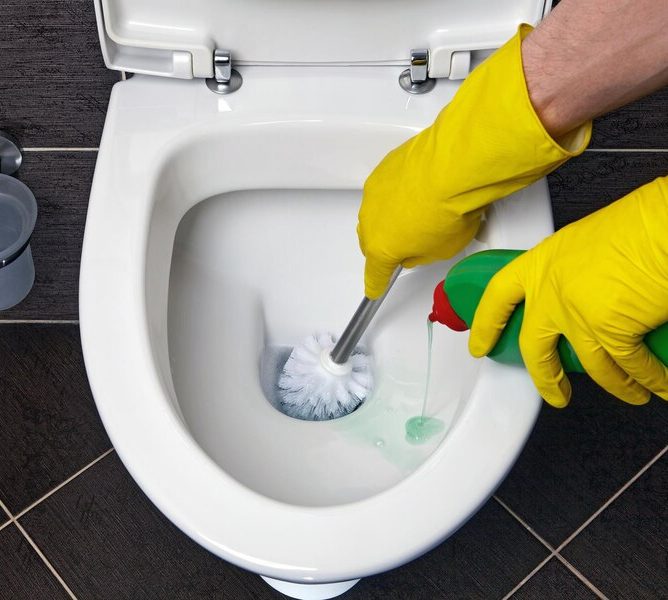 toiletclean toiletclean